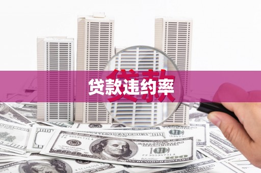 临河贷款违约率