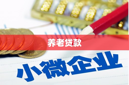 临河养老贷款
