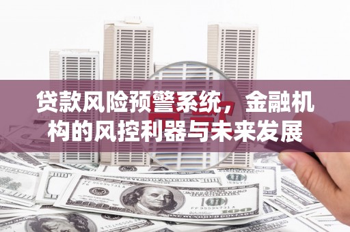 临河贷款风险预警系统，金融机构的风控利器与未来发展