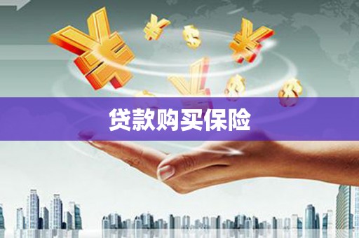 临河贷款购买保险