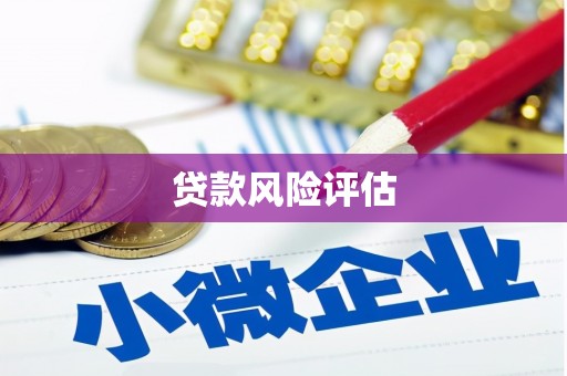 临河贷款风险评估