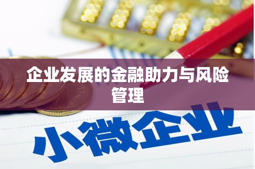 临河企业发展的金融助力与风险管理