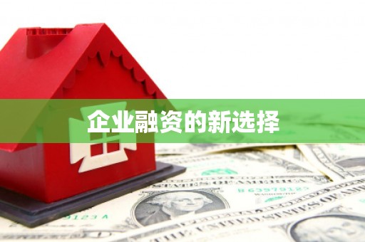 临河企业融资的新选择