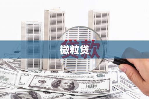 临河微粒贷