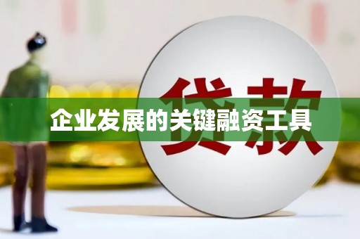 临河企业发展的关键融资工具