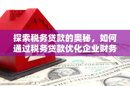 临河探索税务贷款的奥秘，如何通过税务贷款优化企业财务