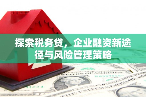 临河探索税务贷，企业融资新途径与风险管理策略