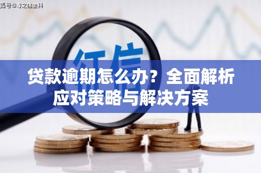 临河贷款逾期怎么办？全面解析应对策略与解决方案