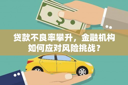 临河贷款不良率攀升，金融机构如何应对风险挑战？