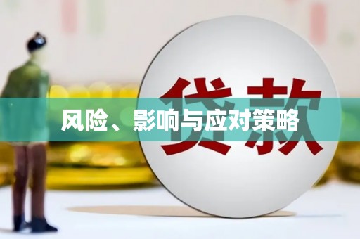 临河风险、影响与应对策略