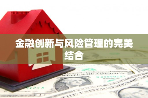 临河金融创新与风险管理的完美结合