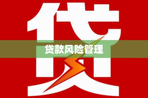 临河贷款风险管理