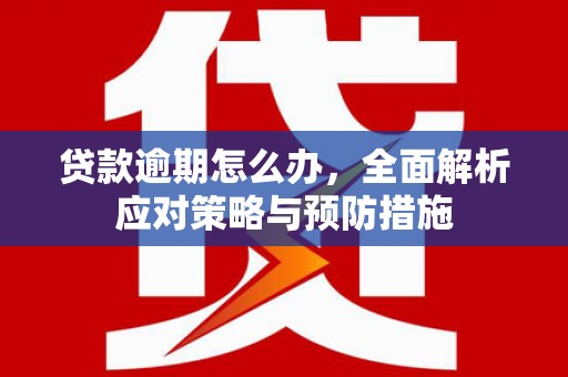 临河贷款逾期怎么办，全面解析应对策略与预防措施