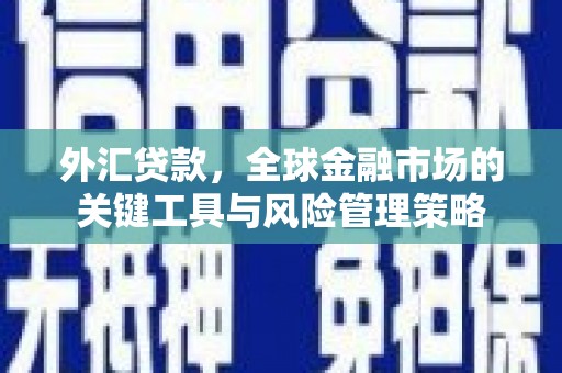 临河外汇贷款，全球金融市场的关键工具与风险管理策略