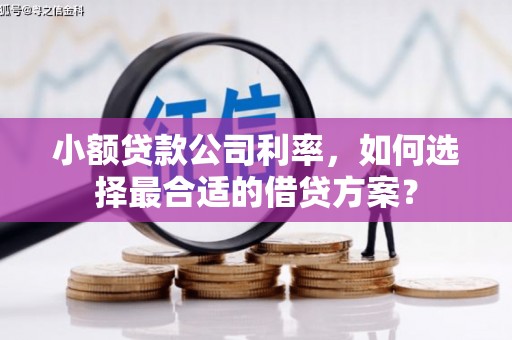 临河小额贷款公司利率，如何选择最合适的借贷方案？