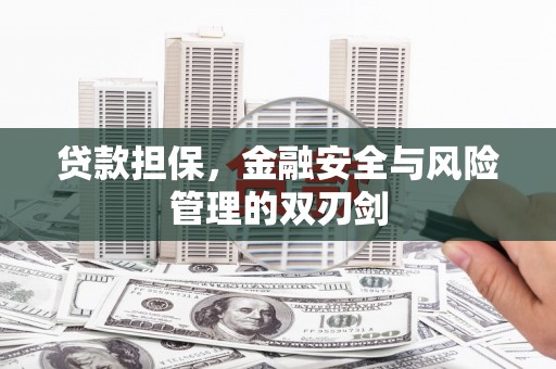 临河贷款担保，金融安全与风险管理的双刃剑