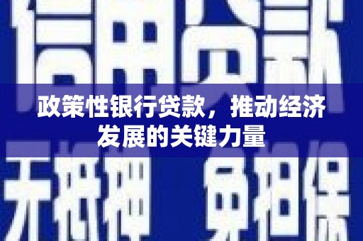 临河政策性银行贷款，推动经济发展的关键力量
