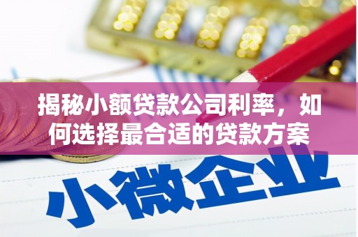 临河揭秘小额贷款公司利率，如何选择最合适的贷款方案