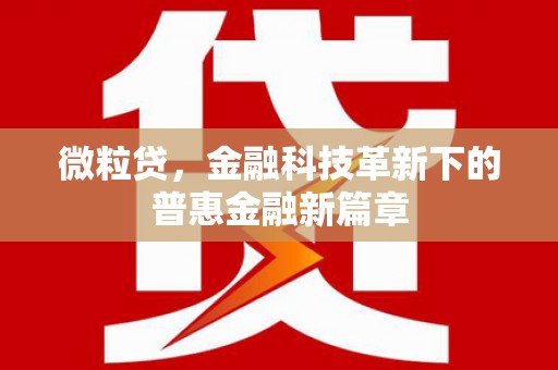 临河微粒贷，金融科技革新下的普惠金融新篇章