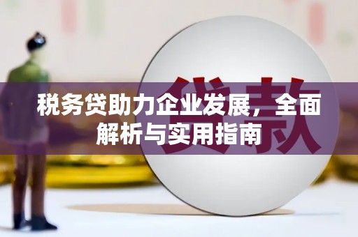 临河税务贷助力企业发展，全面解析与实用指南
