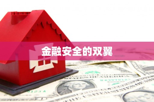临河金融安全的双翼