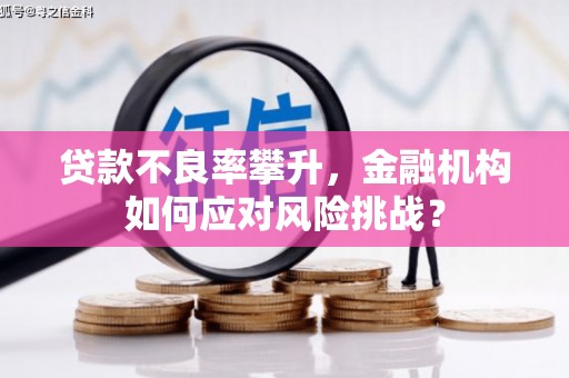 临河贷款不良率攀升，金融机构如何应对风险挑战？