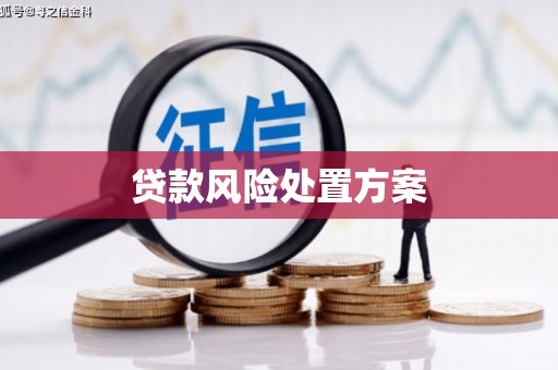 临河贷款风险处置方案