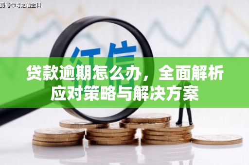 临河贷款逾期怎么办，全面解析应对策略与解决方案