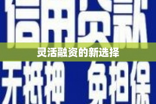 临河灵活融资的新选择