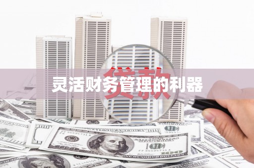 临河灵活财务管理的利器