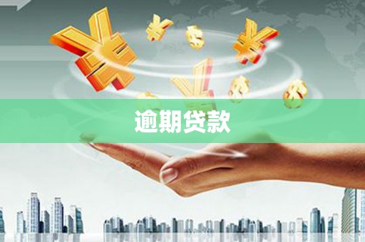 临河逾期贷款